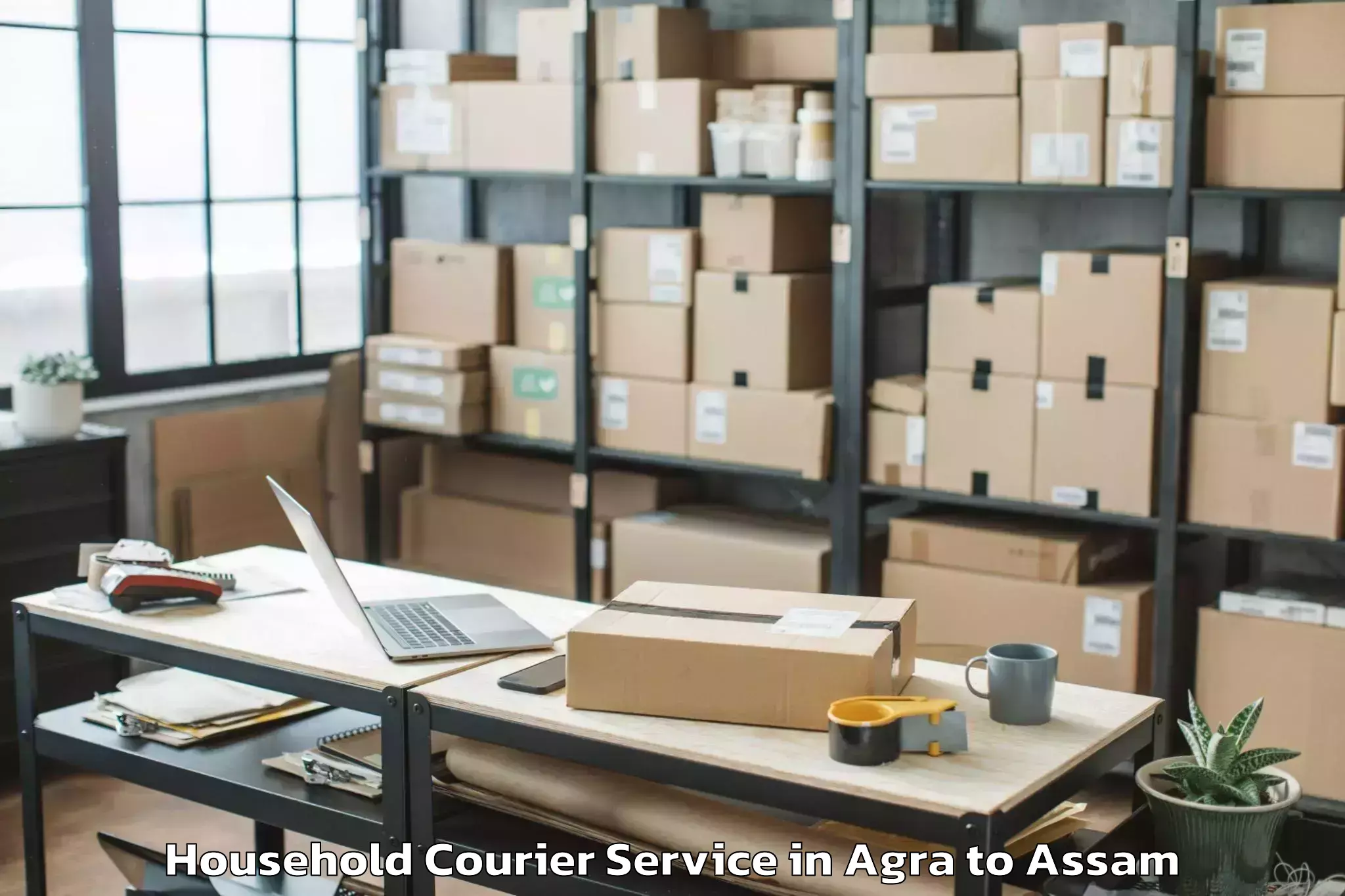 Book Your Agra to Silapathar Household Courier Today